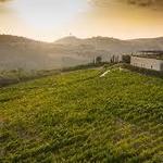 IXSIR Winery / Tour and Tasting