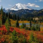 Mount Rainier National Park