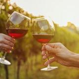 Route 151 - Brewery & Wine Beverage Trail