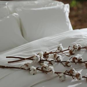 Holy Lamb Organic Cotton & Natural Wool Bed Pillows