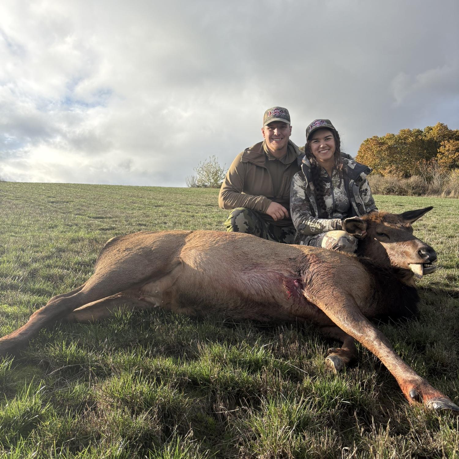 1st elk together