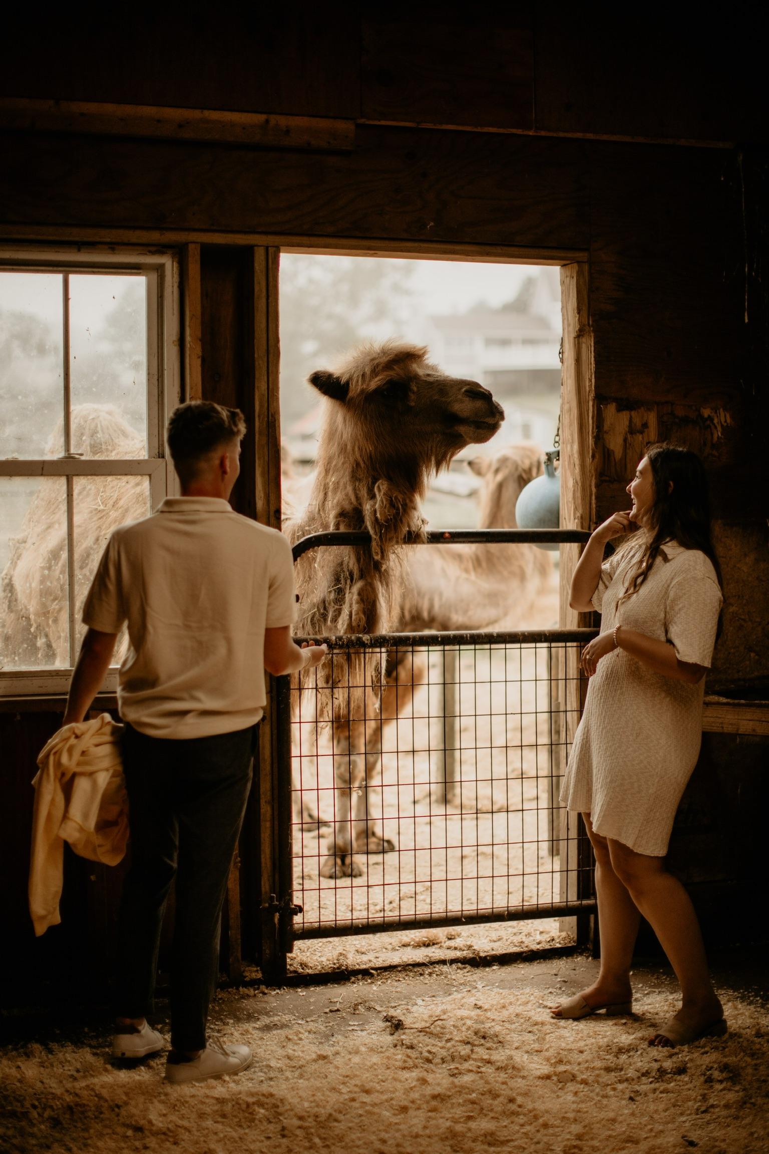 The Wedding Website of Justin Murray and Isabel Mota