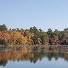 Harold Parker State Forest