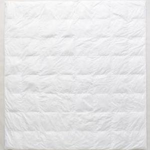 Geneva Down Alternative Duvet Insert