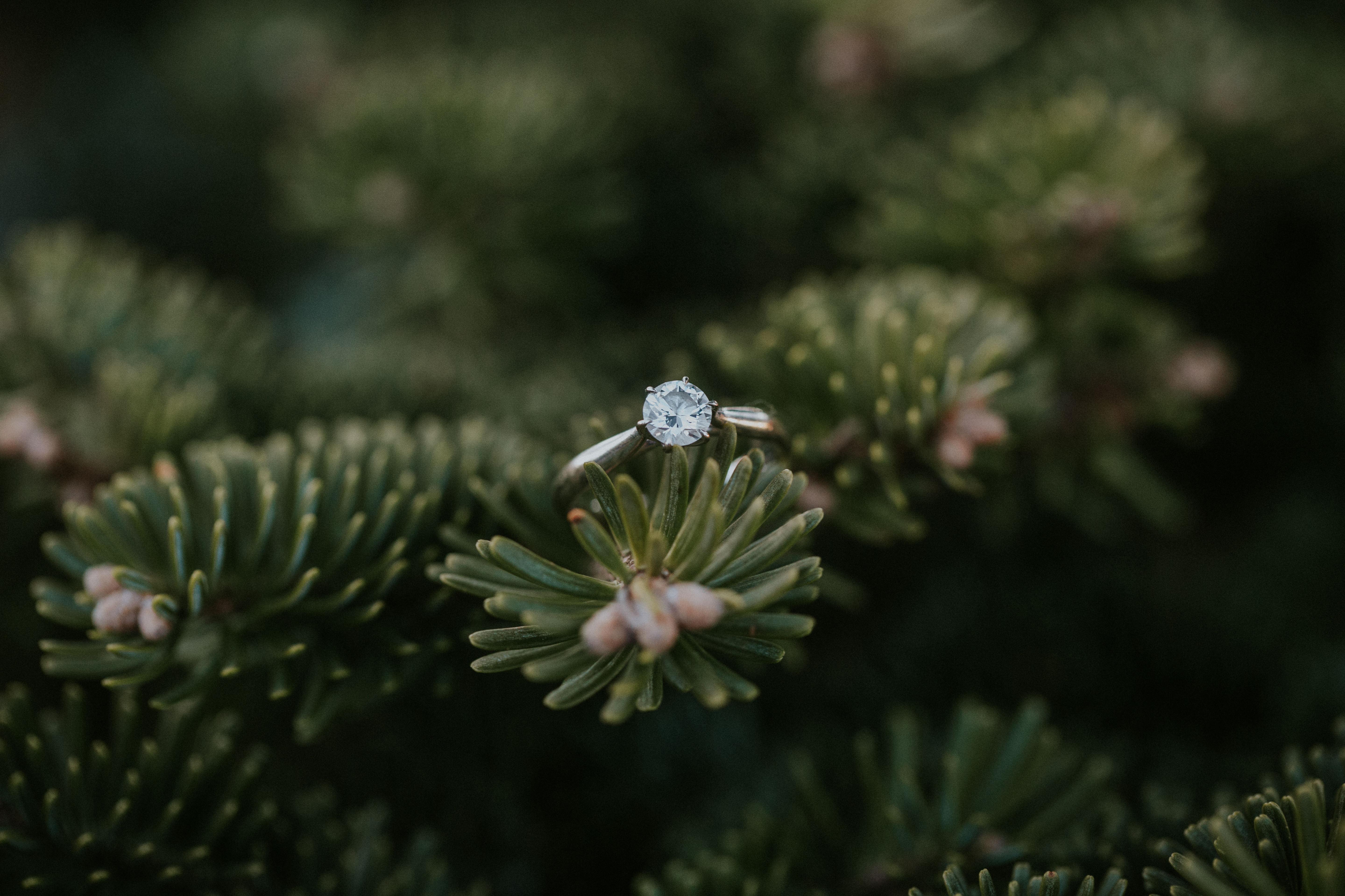 The Wedding Website of Katie Dansereau and Timothy Erick
