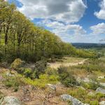 Nixon Park Nature Center