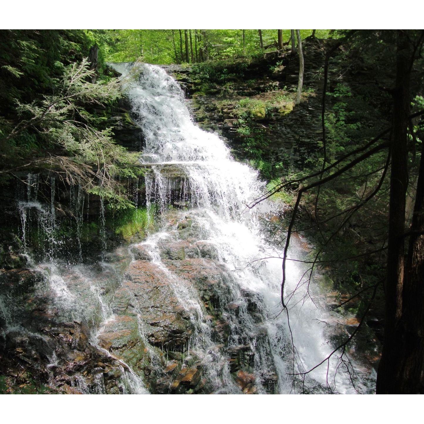 On our first hike, George took this picture of one of the many waterfalls at Ricketts Glen State Park.