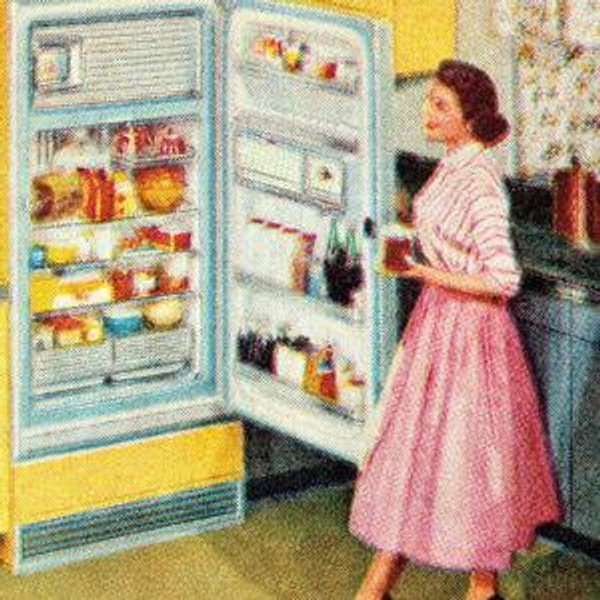 Fridge Upgrade