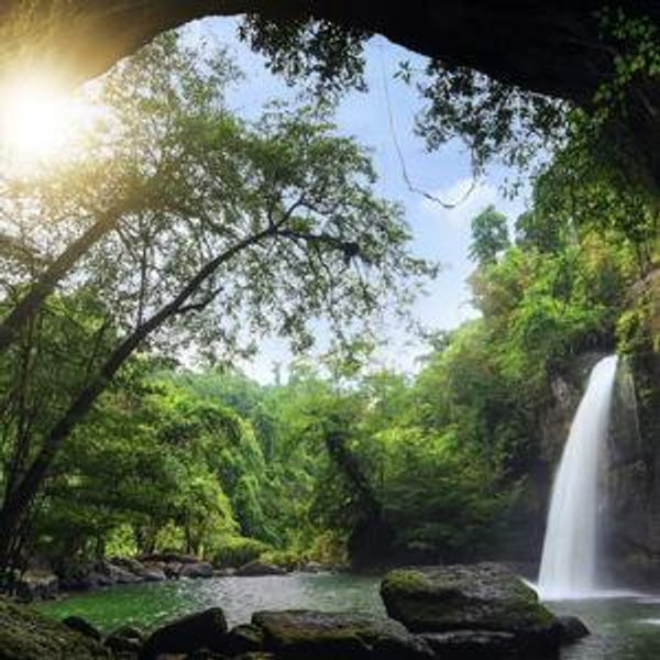 Khao Yai Tour: Jungle hike, waterfalls, night safari