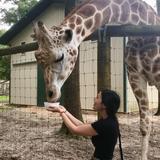 Happy Hollow Park & Zoo