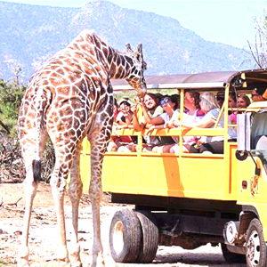 Out of Africa Wildlife Park Tickets for Two