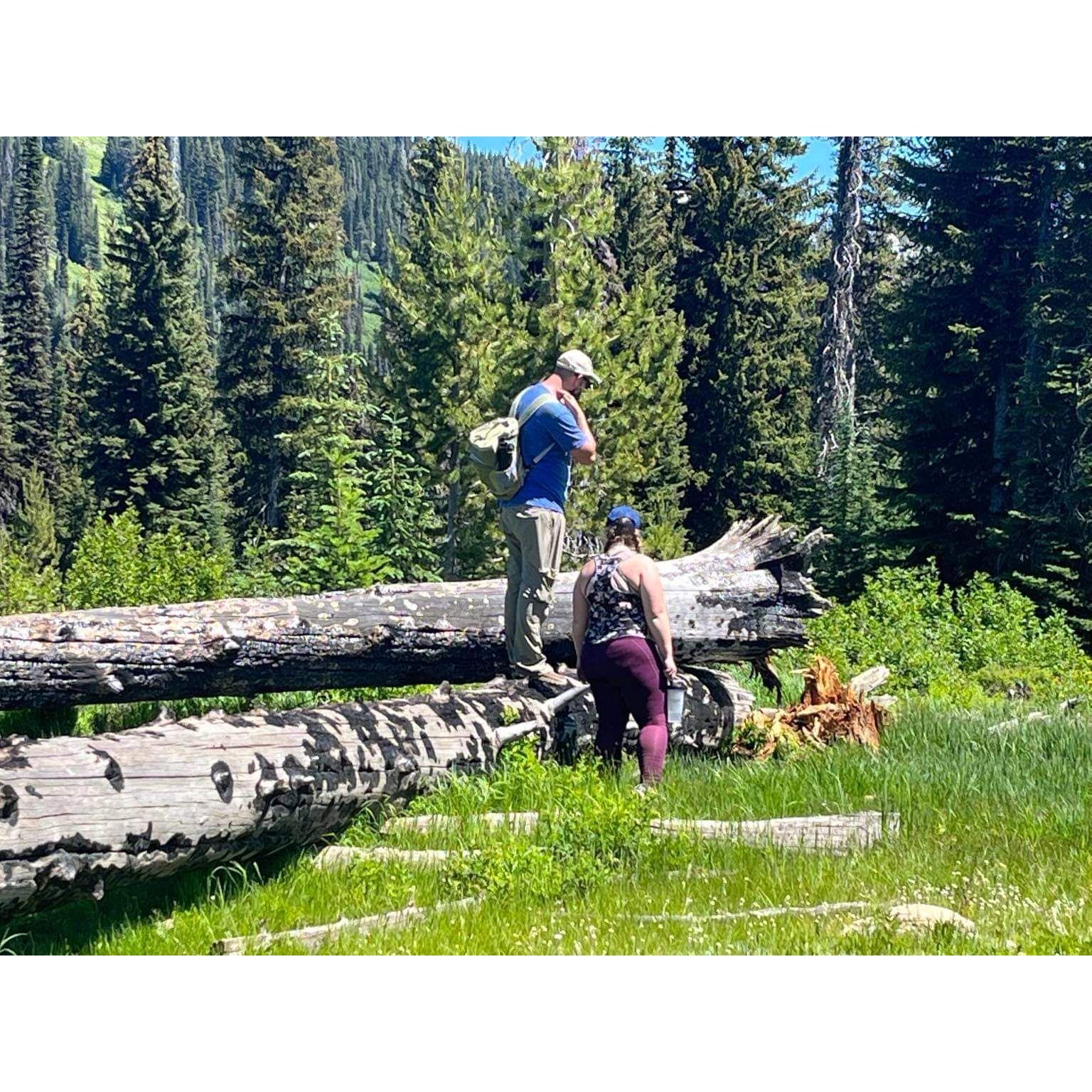 Hiking near McCall