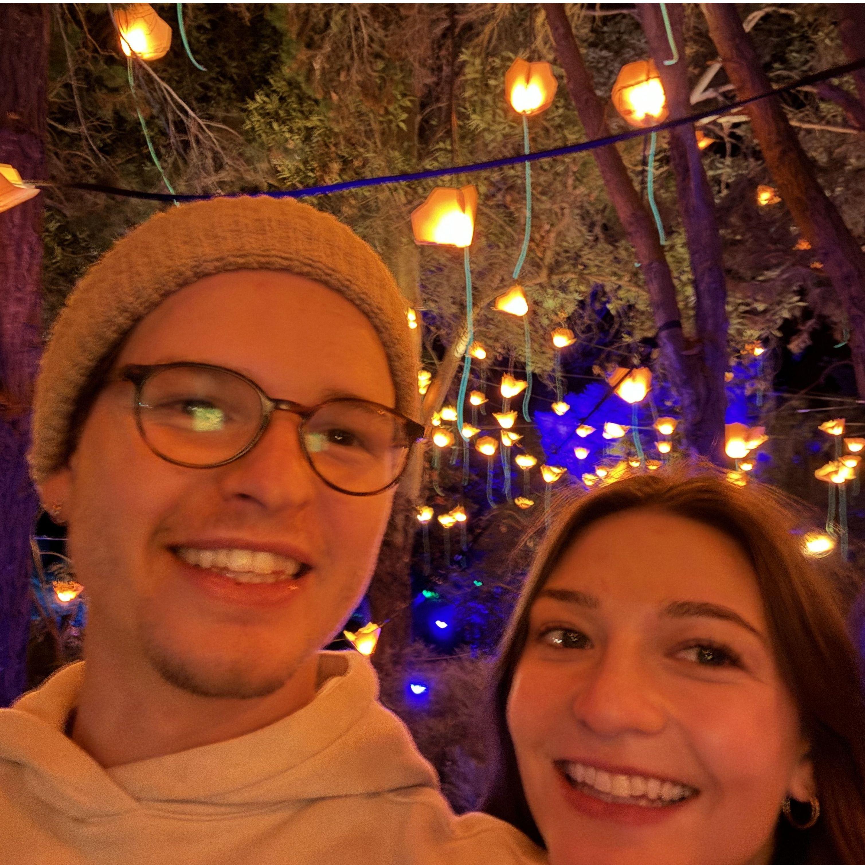 Christmas Light Botanical Garden 2024