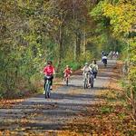 Swamp Rabbit Trail