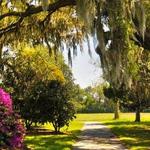 Charles Pinckney National Historic Site