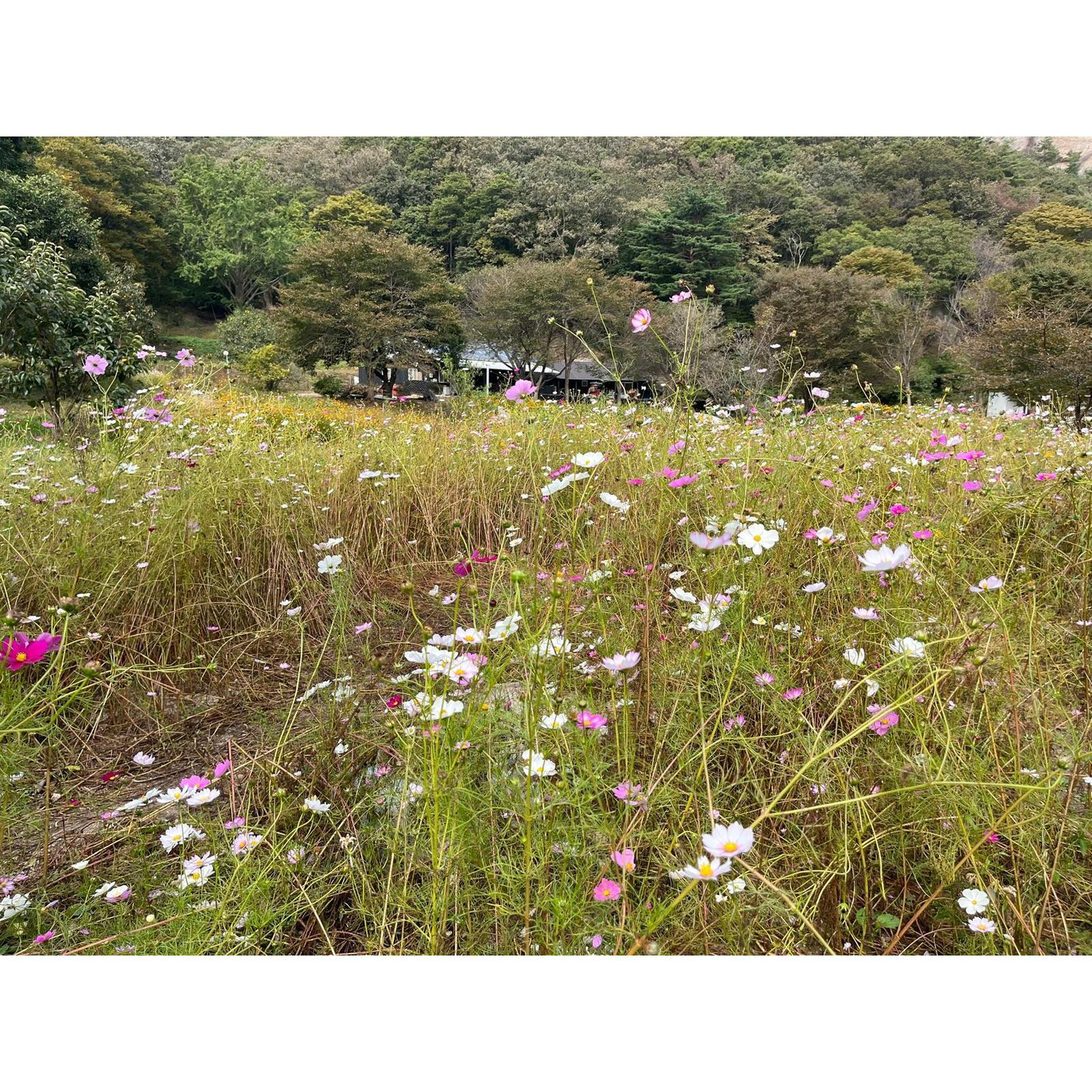 South Korea