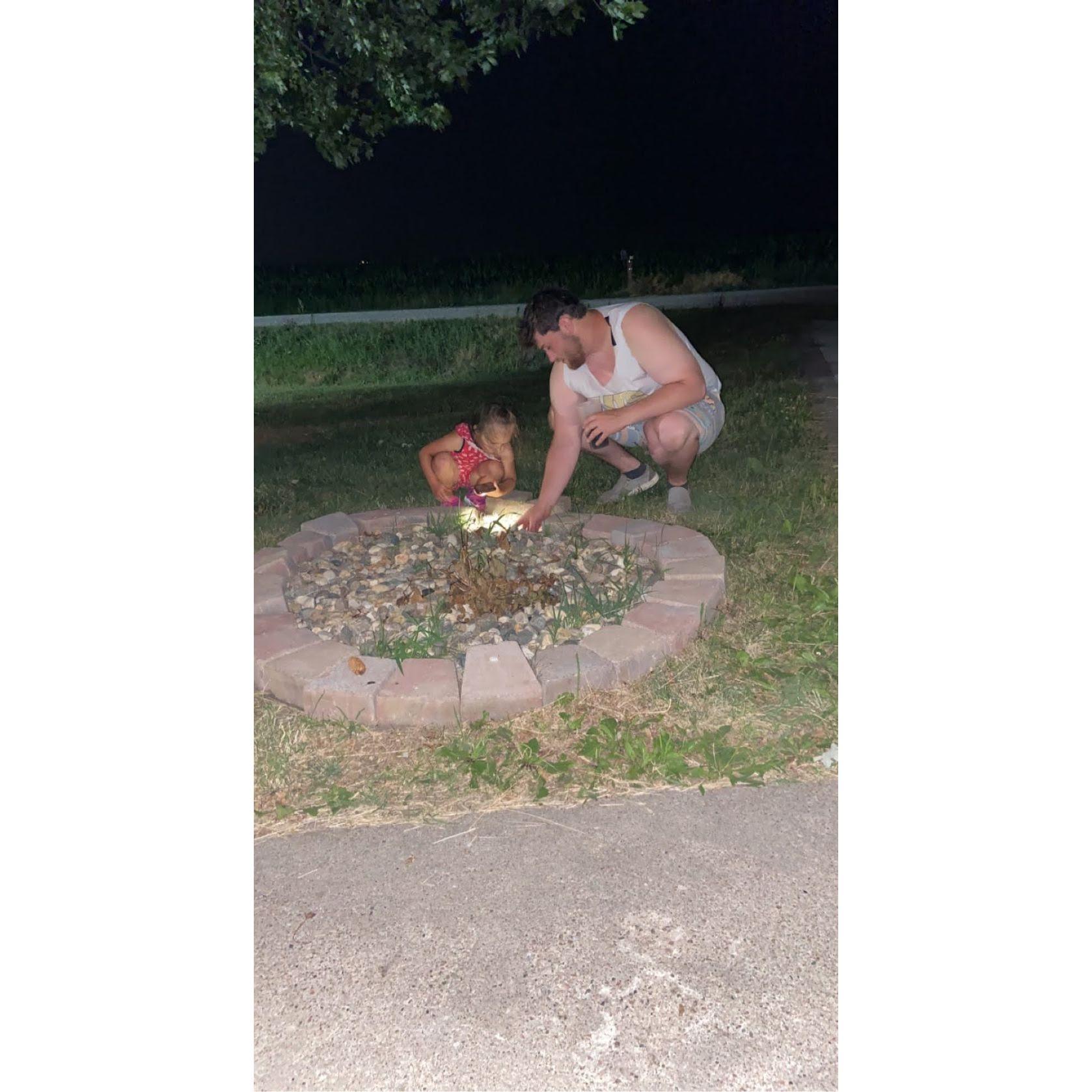 Hunting for bugs together