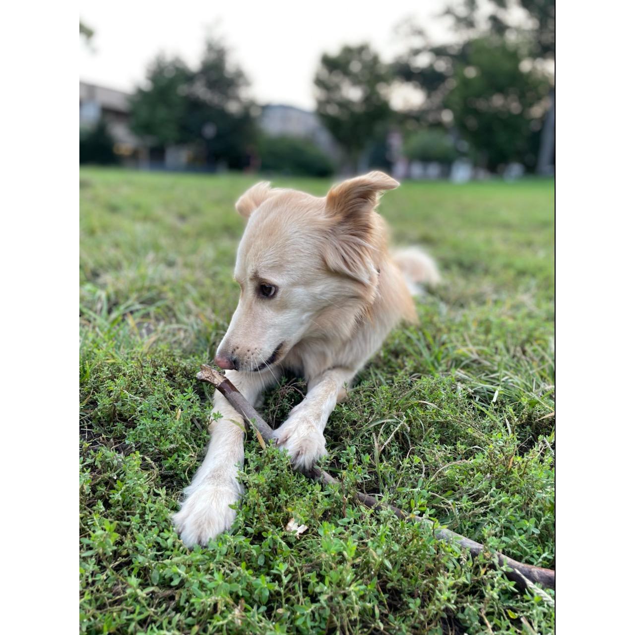 the goodest girl.