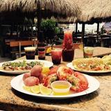 Monty's Coconut Grove