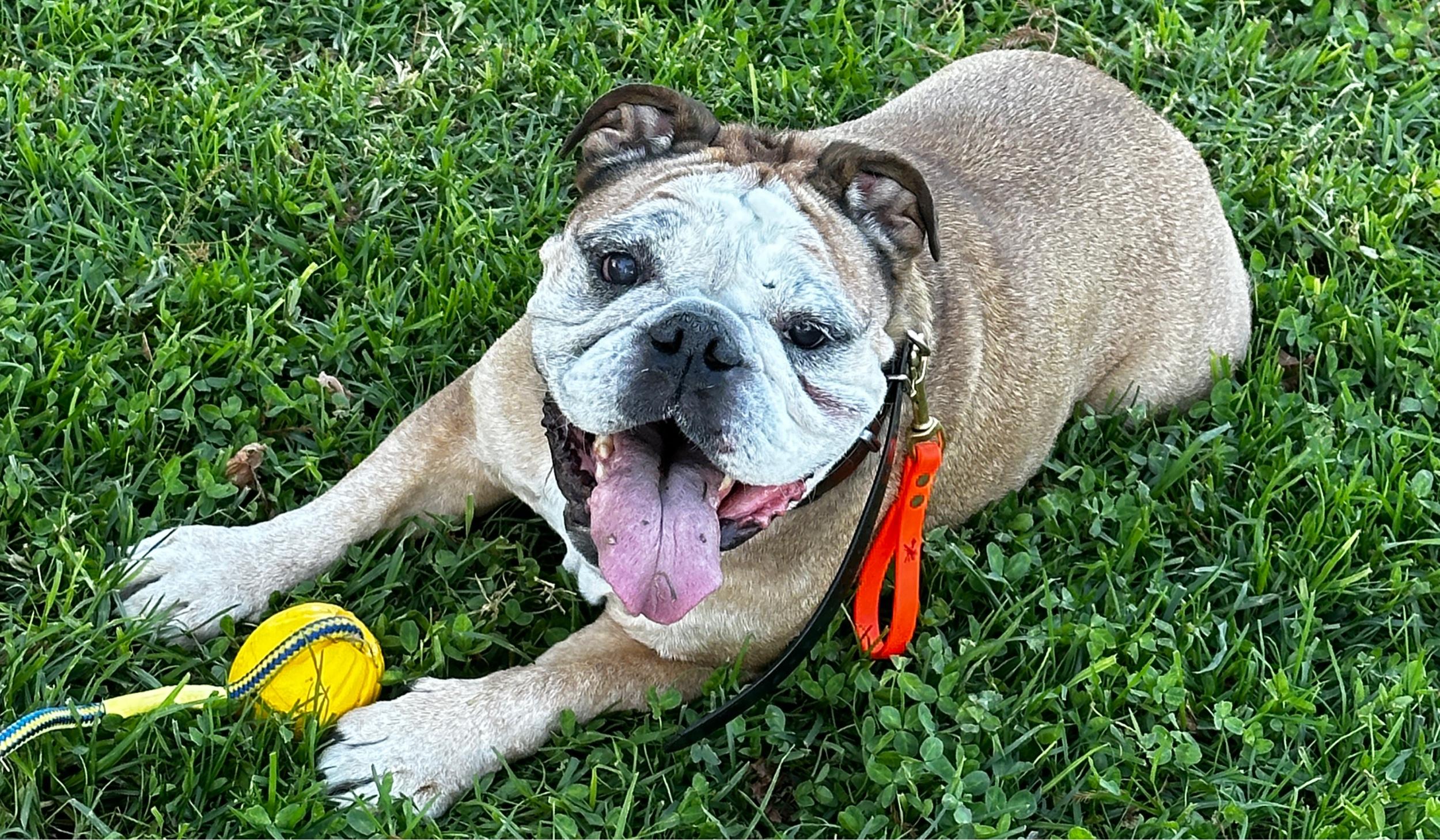 The Wedding Website of Stephanie Luna and Jorge Alvarado