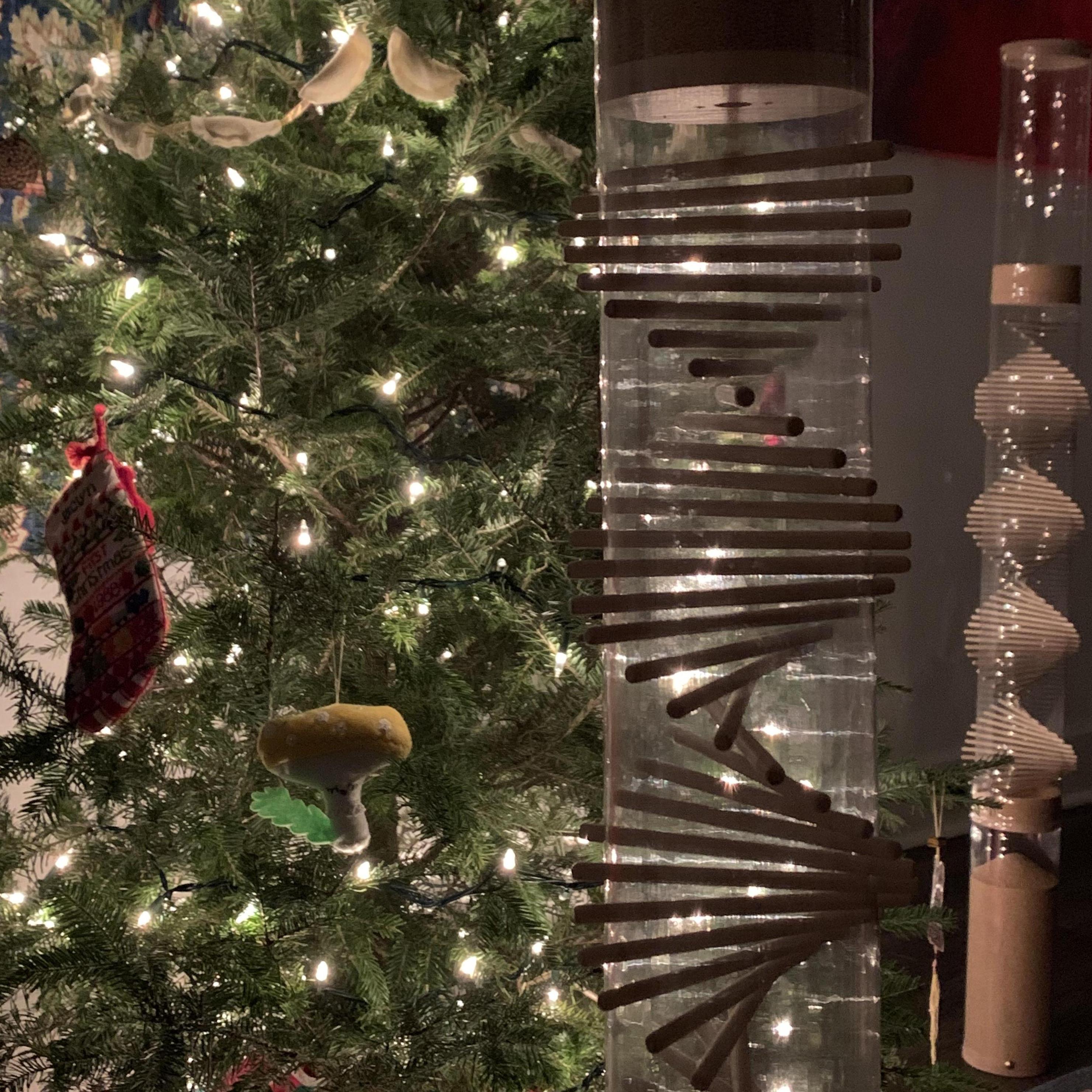 Noah proposed in front of our tree on Christmas Day 2020. Also, it made a lovely backdrop for rainstick photos :) xoxox