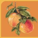 Peach's Restaurant