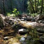 Sturtevant Falls