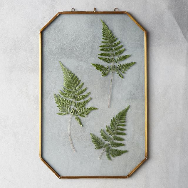 Brass Octagon Specimen Frame, Large