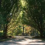 Frederik Meijer Gardens & Sculpture Park