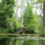 Cypress Gardens