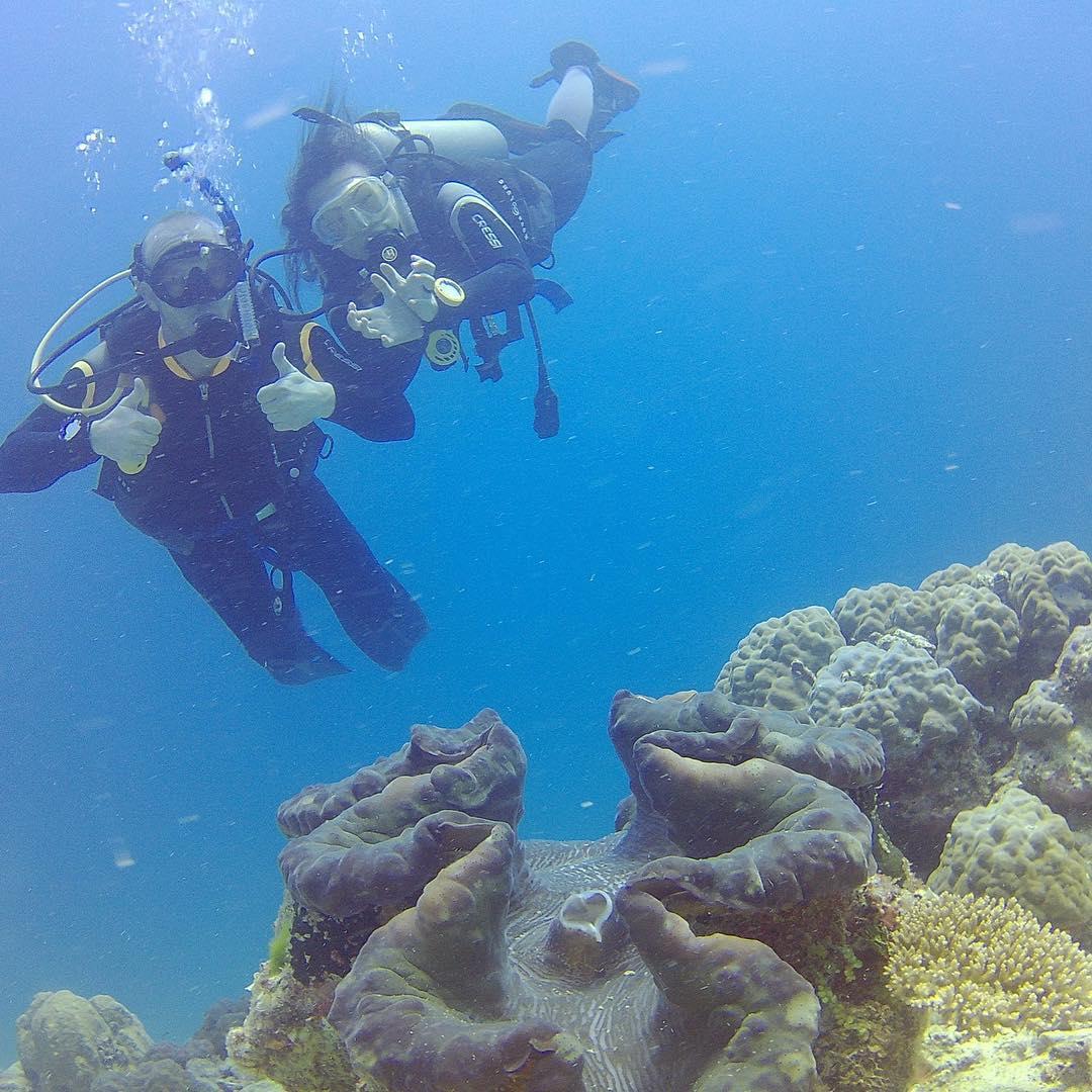 Giant clam sighting in the Philippines