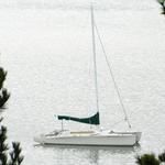 Tomales Bay Sailing