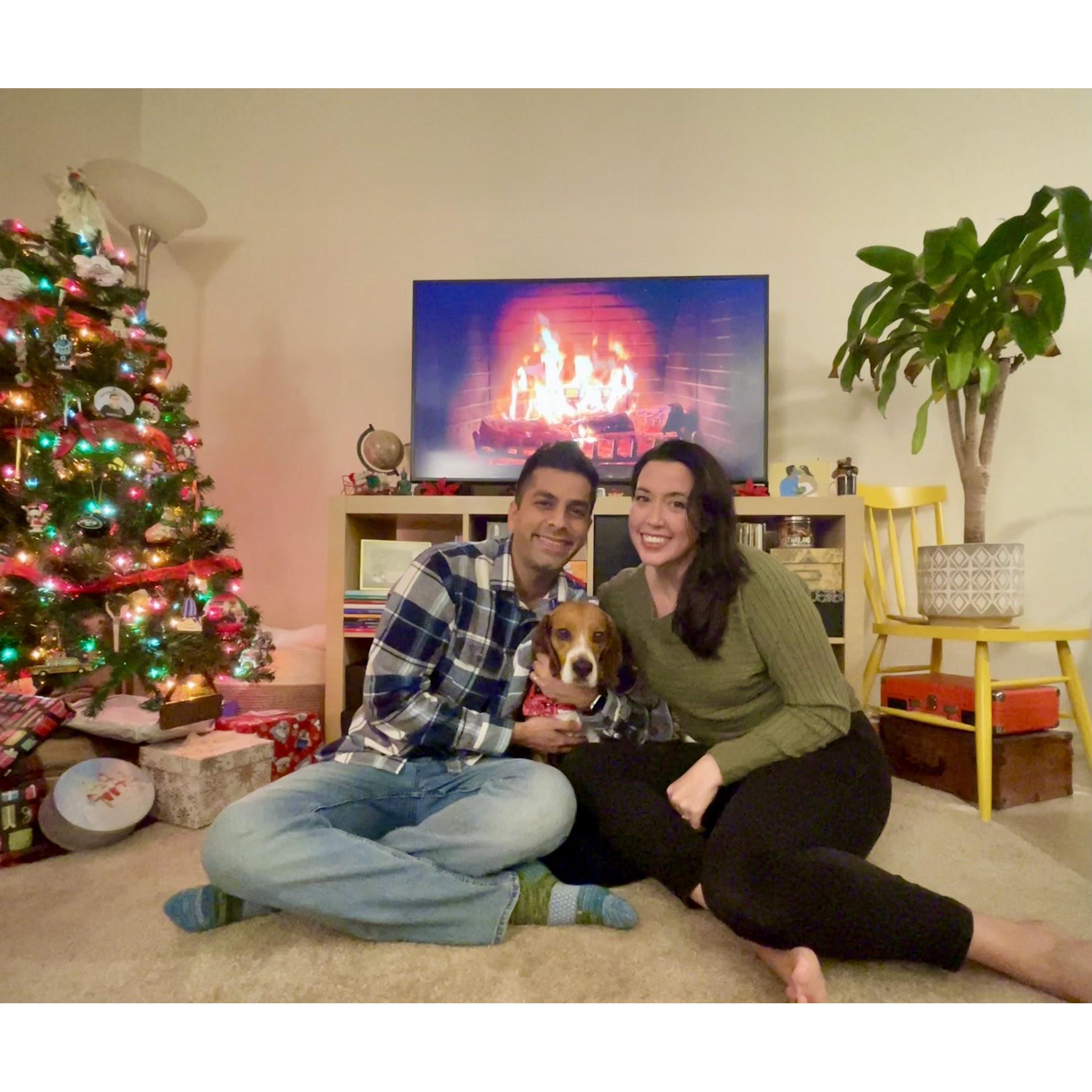 We adopted our beagle, Ove, on 12/12/2020