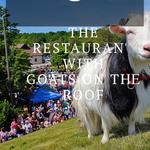 Al Johnson’s Swedish Restaurant & Butik