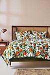 Printfresh Organic Quilt- Queen