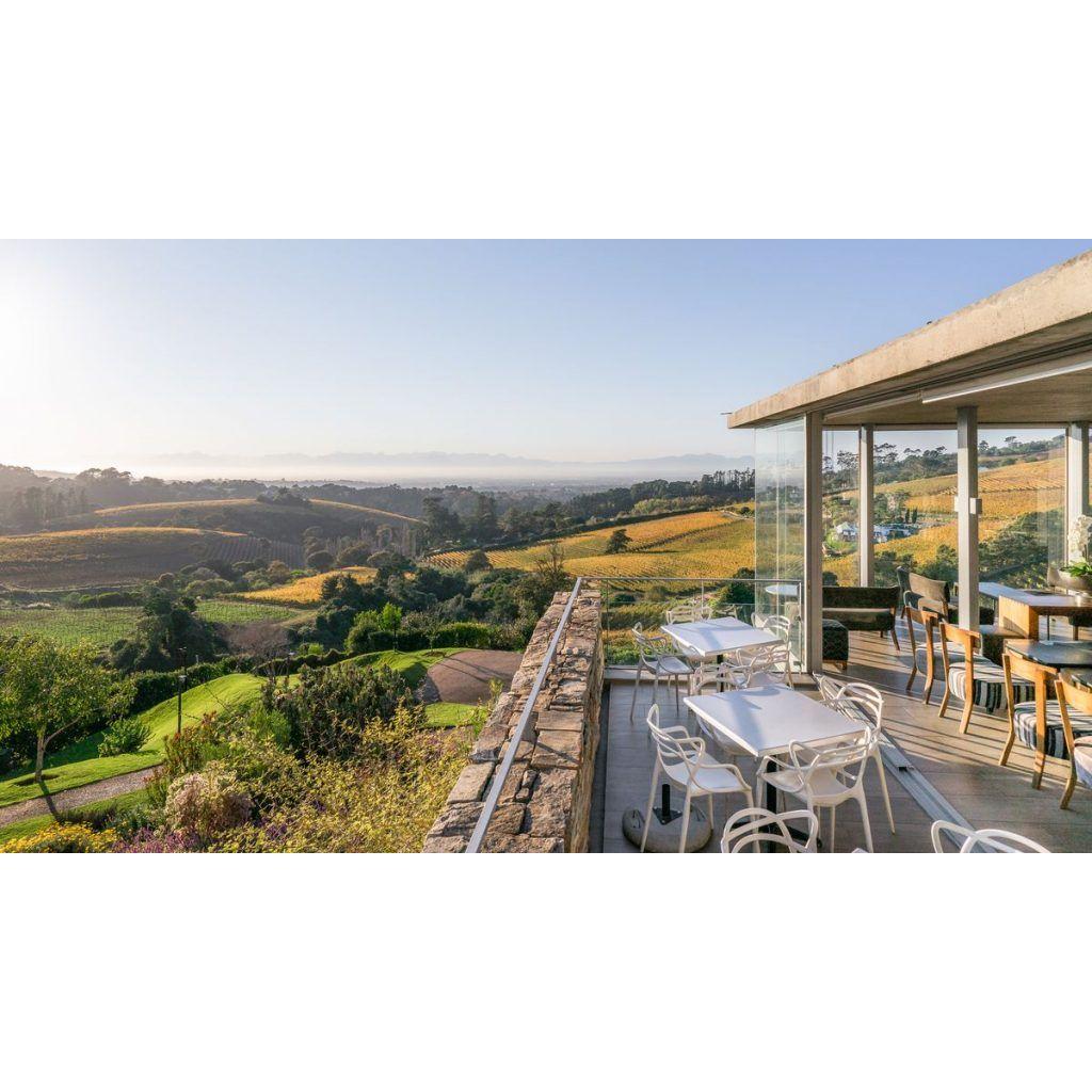 Constantia Winelands