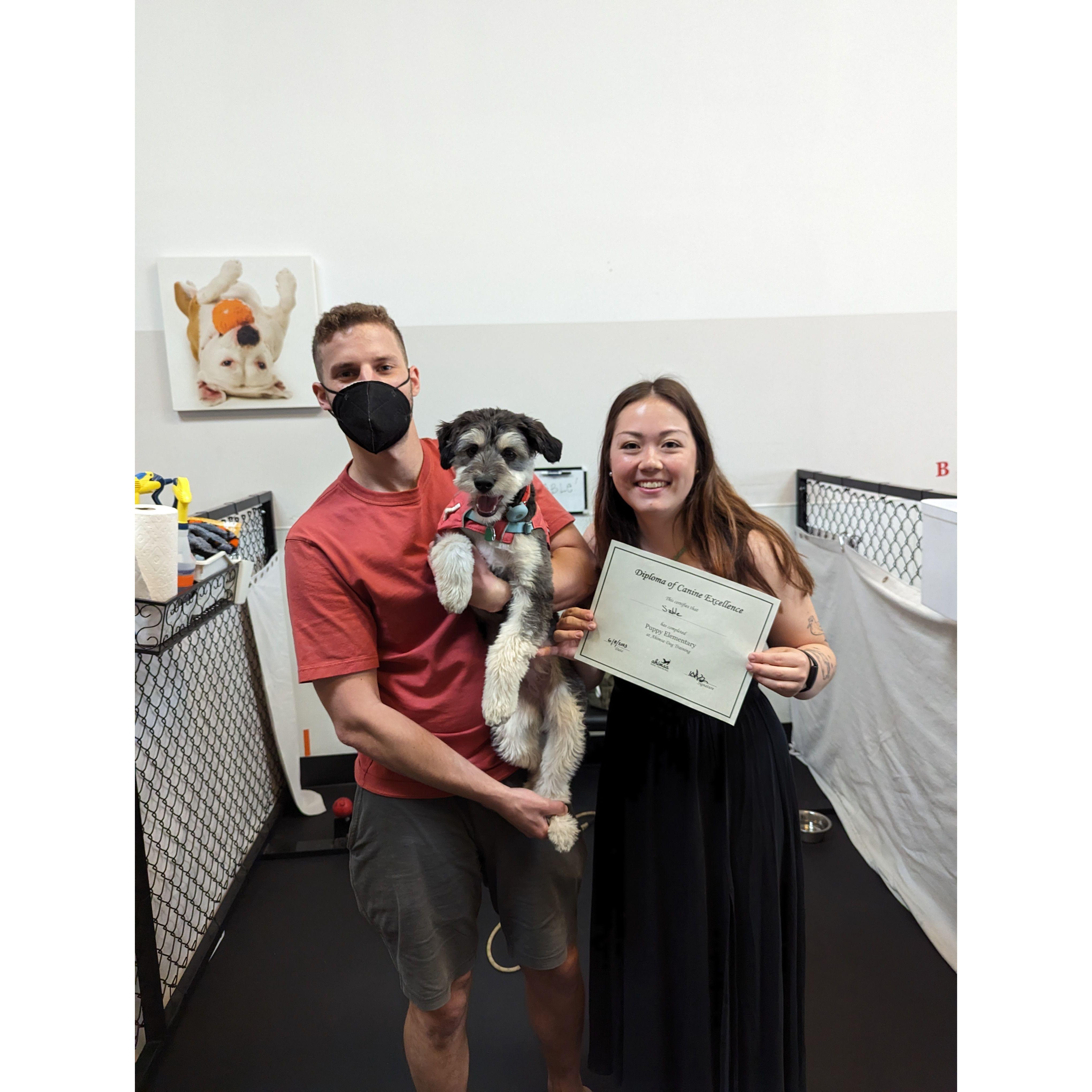 Sable graduated puppy elementary!