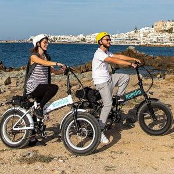 E-Bike Island Day