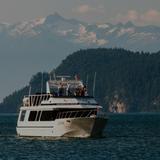 Shoreline Tours
