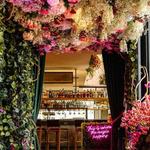 Juniper - Greenville