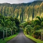 Ho’omaluhia Botanical Garden