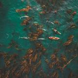 Terranea Resort Activites
