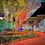 Lights of the Ozarks