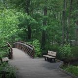 Oak Openings Preserve Metropark