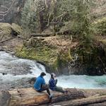 Punch Bowl Falls