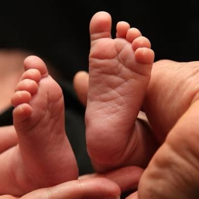 Fertility Fund