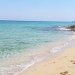 Worth the drive beaches (our favorites)