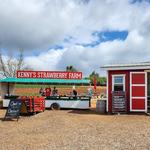 Kenny's Strawberry Farm