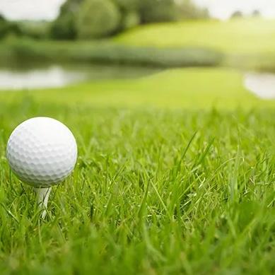 Golf Date