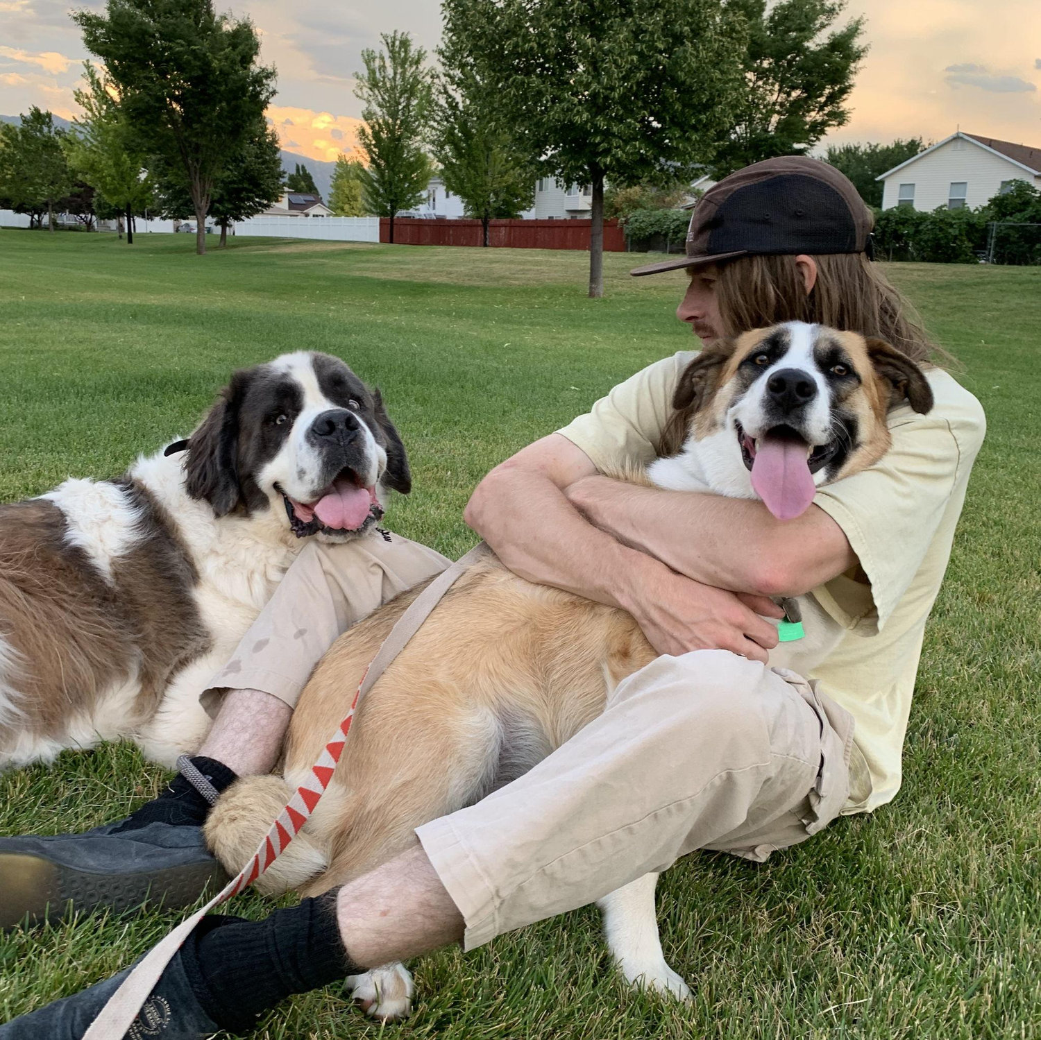 Adopted Stevie girl in 2018.